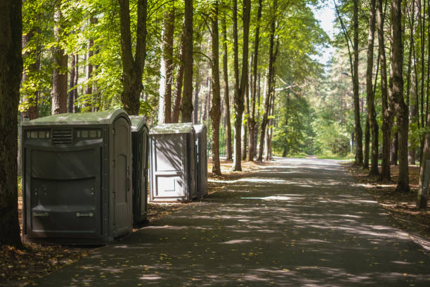 Best Affordable porta potty rental  in Fountain Hills, AZ